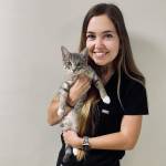 Boulevard Animal Hospital Profile Picture